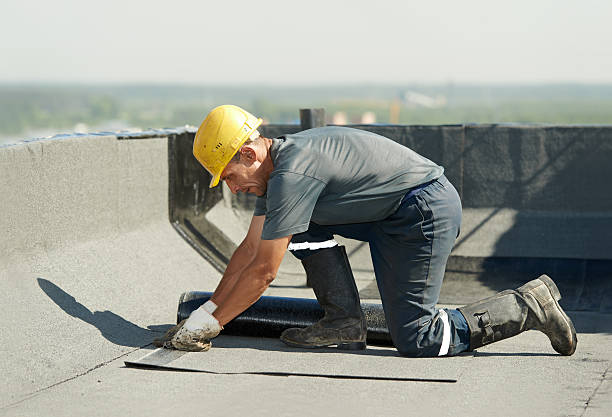 Best Spray Foam Insulation  in Greenfield, CA